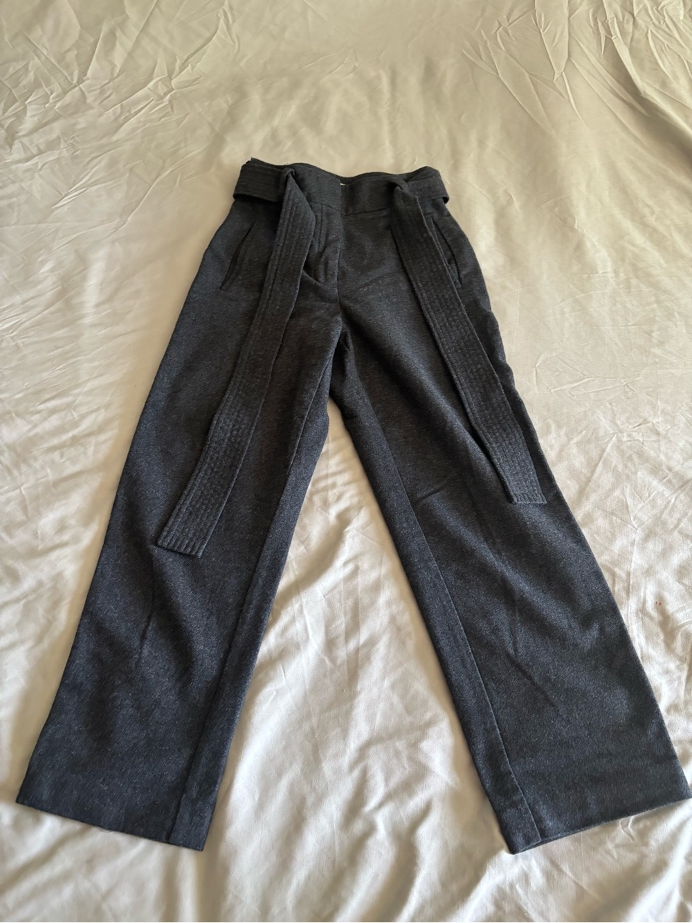 Aritiza Wilfred Charcoal Belted Wool Blend Wide-Leg Trousers